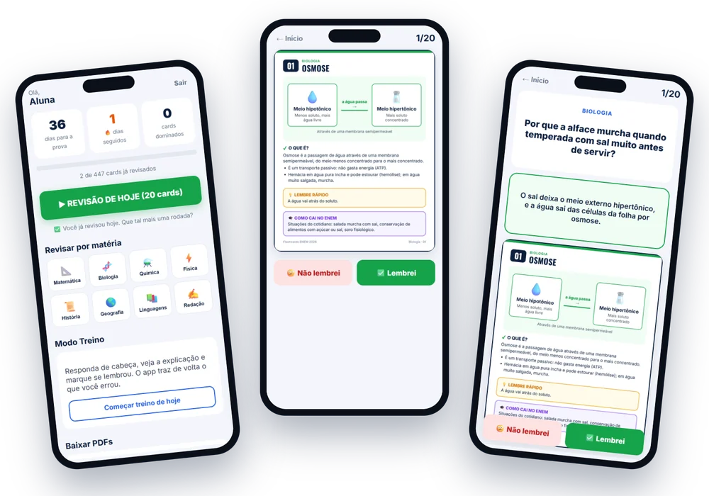 Telas do app de revisão no celular